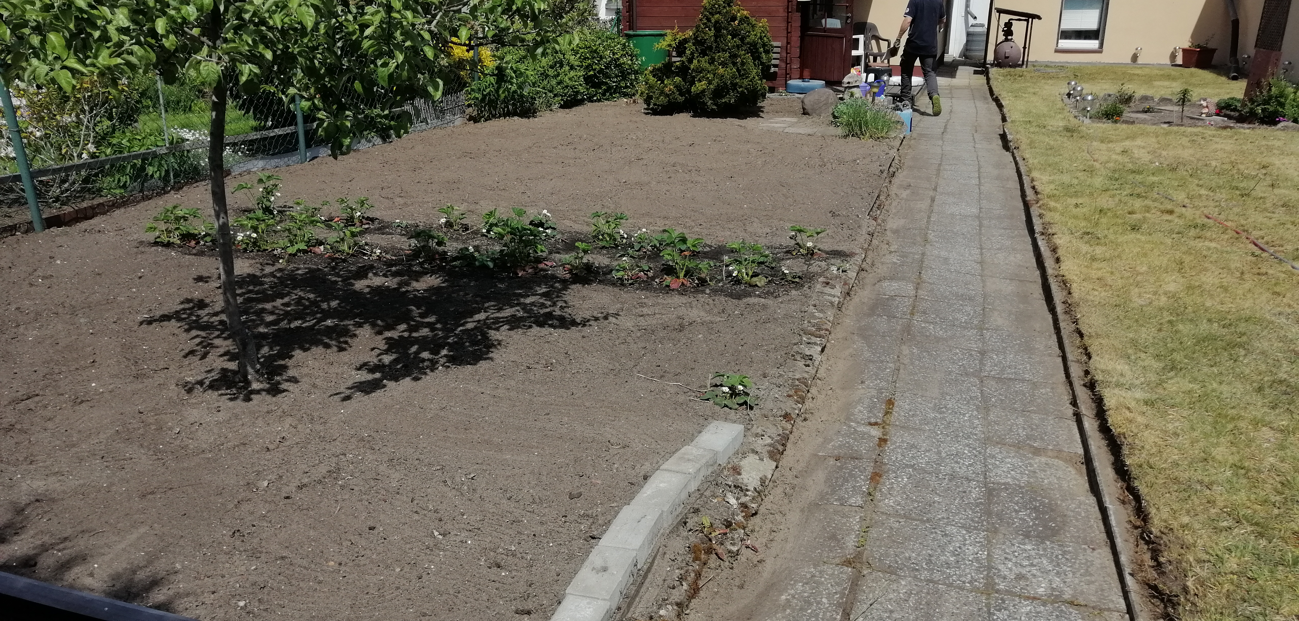 Originalaufnahme: gepflegter Garten mit Rasen und befestigtem Weg